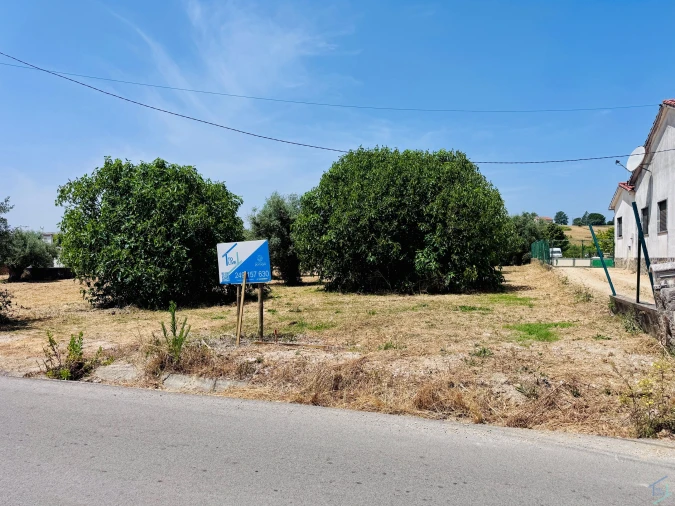 Terreno para Venda em São Pedro de Tomar Foto 10