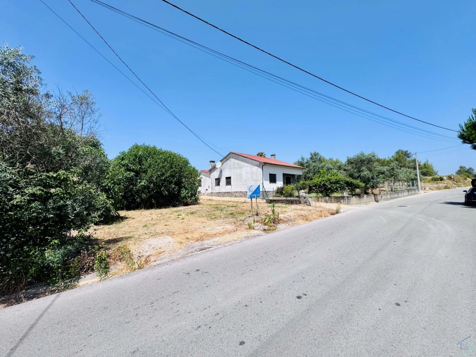 Terreno para Venda em São Pedro de Tomar Foto 6
