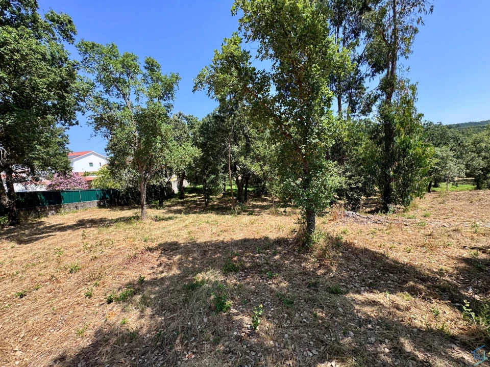 Terreno para Venda em Casais e Alviobeira Foto 20