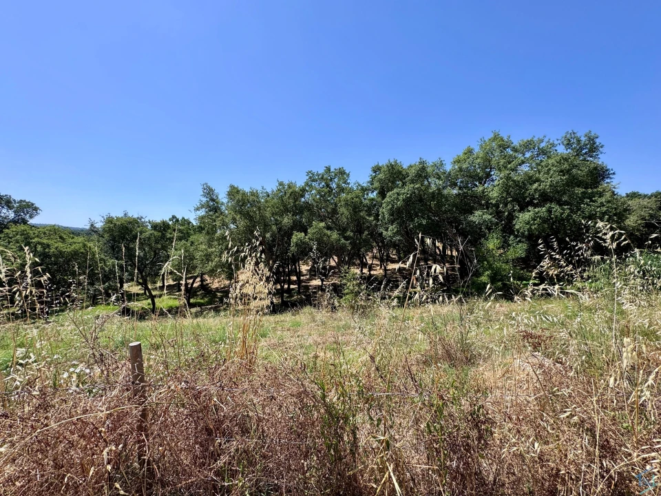 Terreno para Venda em Casais e Alviobeira Foto 10