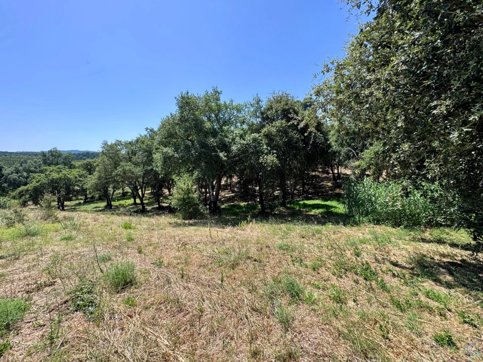 Terreno para Venda em Casais e Alviobeira Foto 15