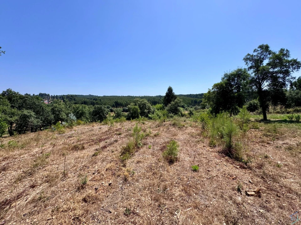 Terreno para Venda em Casais e Alviobeira Foto 23