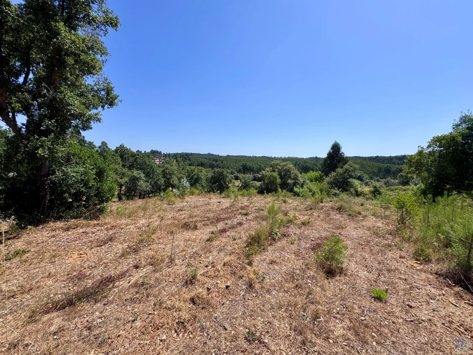 Terreno para Venda em Casais e Alviobeira Foto 1