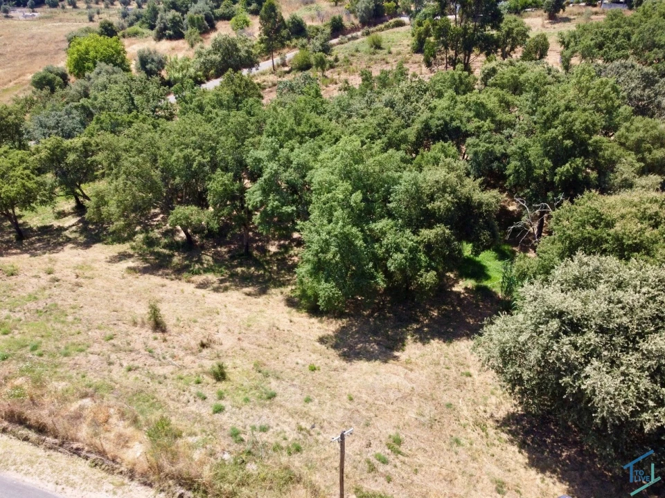 Terreno para Venda em Casais e Alviobeira Foto 29