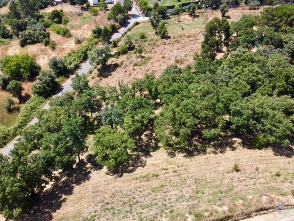 Terreno para Venda em Casais e Alviobeira Foto 28