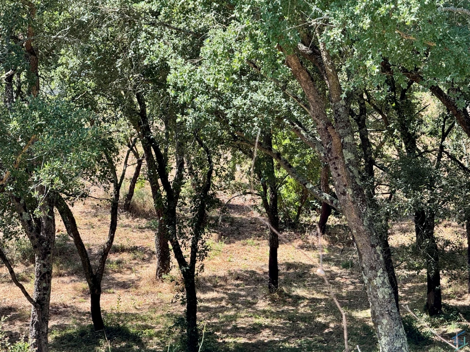 Terreno para Venda em Casais e Alviobeira Foto 14