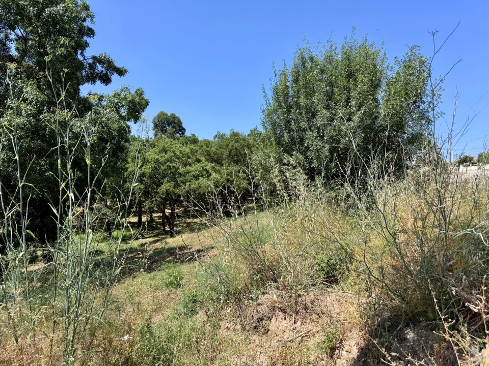 Terreno para Venda em Casais e Alviobeira Foto 5