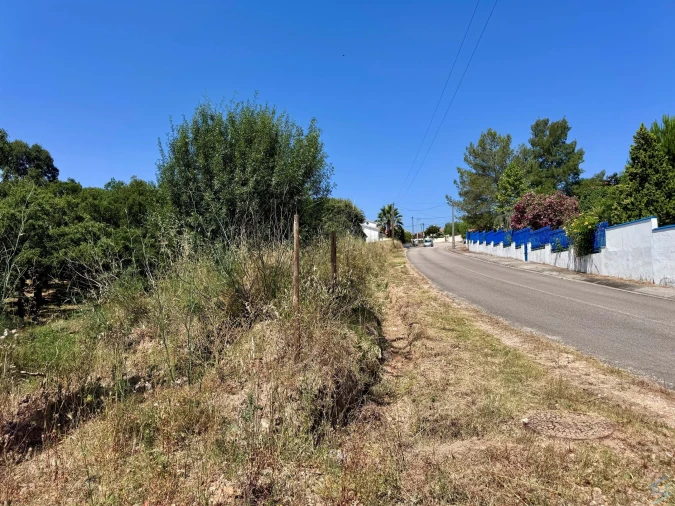 Terreno para Venda em Casais e Alviobeira Foto 8