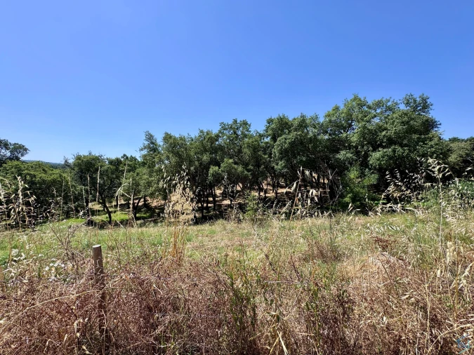 Terreno para Venda em Casais e Alviobeira Foto 10