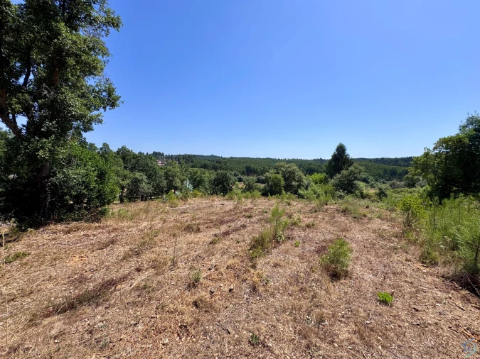 Terreno para Venda em Casais e Alviobeira Foto 1