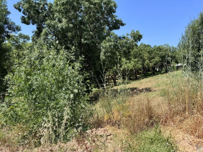 Terreno para Venda em Casais e Alviobeira Foto 6