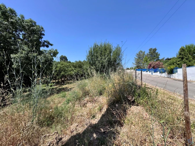 Terreno para Venda em Casais e Alviobeira Foto 4