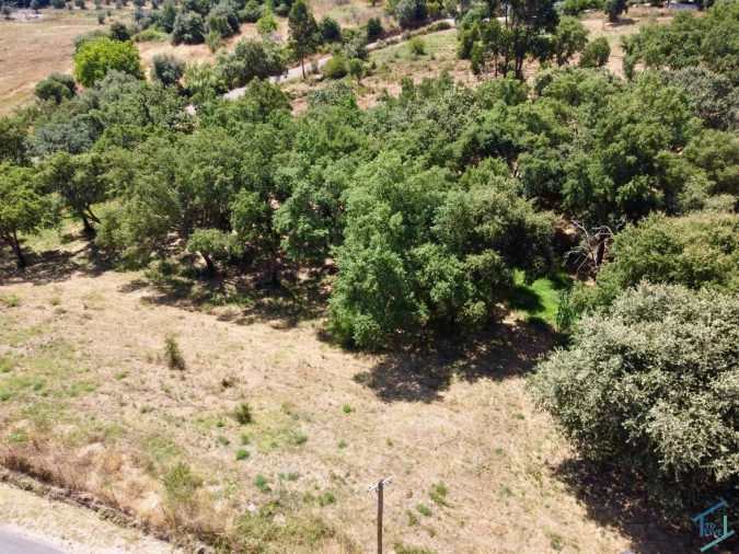 Terreno para Venda em Casais e Alviobeira Foto 29