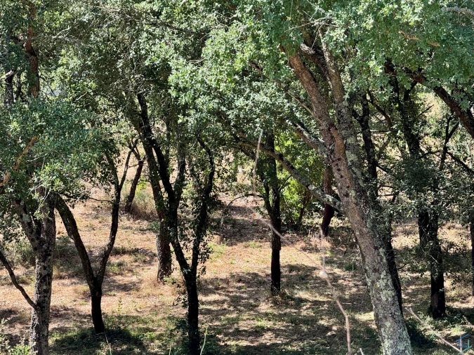 Terreno para Venda em Casais e Alviobeira Foto 14