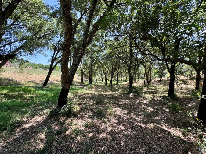 Terreno para Venda em Casais e Alviobeira Foto 19