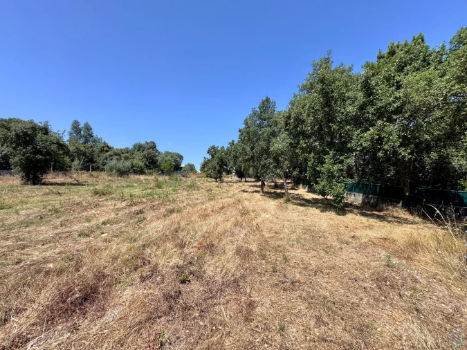 Terreno para Venda em Casais e Alviobeira Foto 26