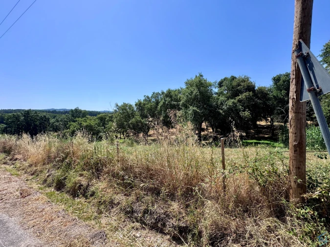 Terreno para Venda em Casais e Alviobeira Foto 3