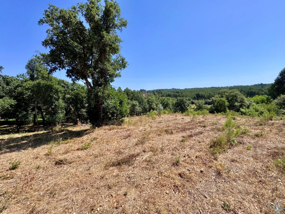 Terreno para Venda em Casais e Alviobeira Foto 24