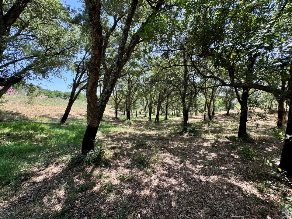 Terreno para Venda em Casais e Alviobeira Foto 19
