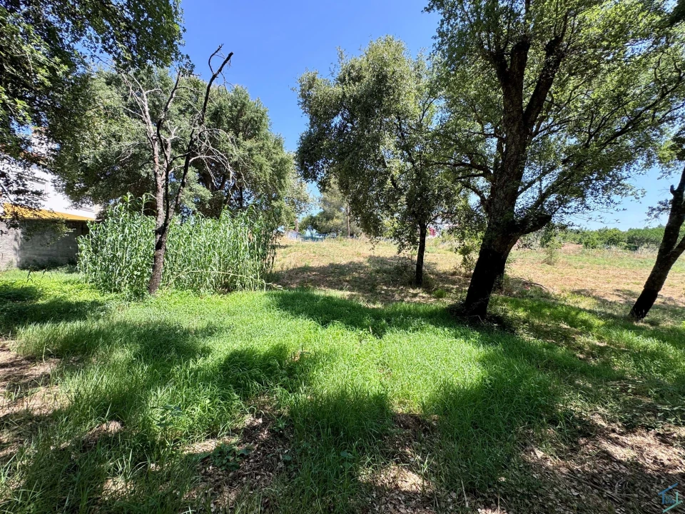 Terreno para Venda em Casais e Alviobeira Foto 18