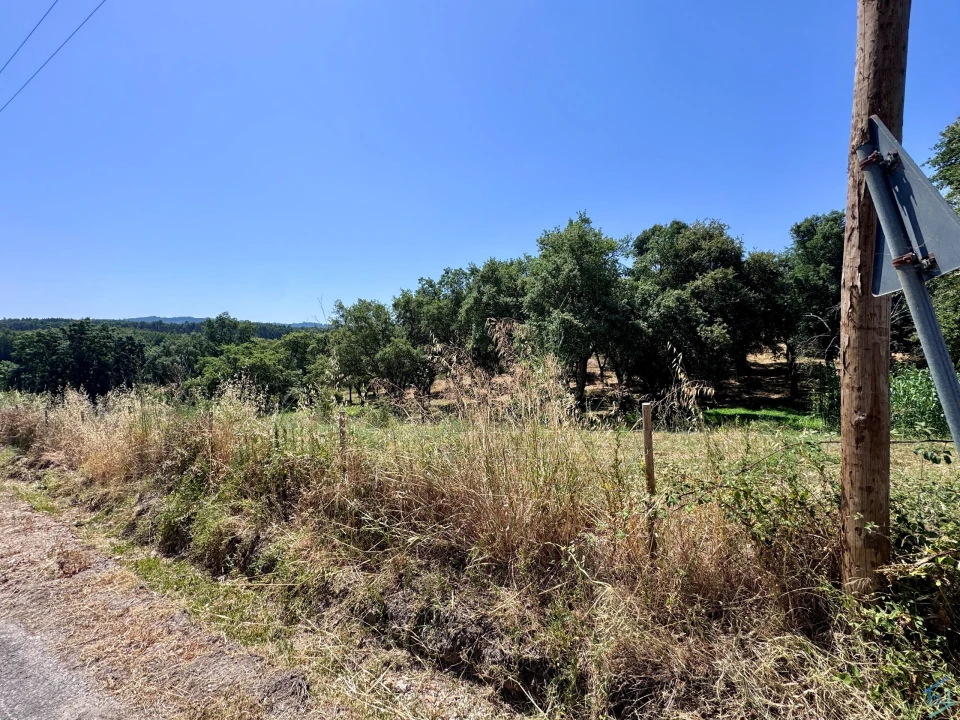 Terreno para Venda em Casais e Alviobeira Foto 3