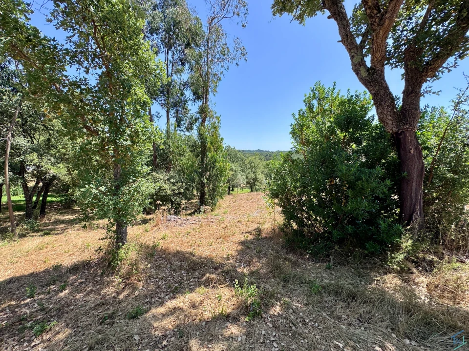 Terreno para Venda em Casais e Alviobeira Foto 21