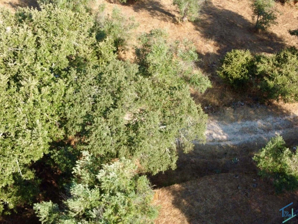 Moradia T3 para Venda em Chãos Foto 65