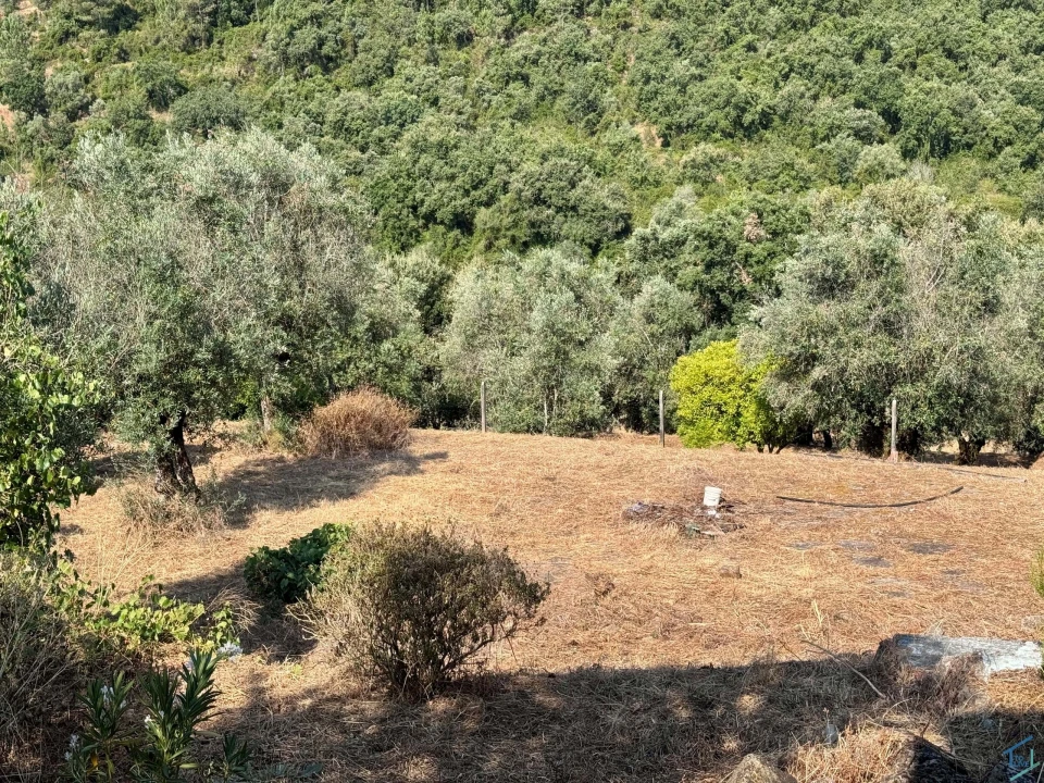 Moradia T3 para Venda em Chãos Foto 53