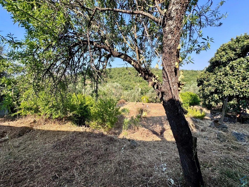 Moradia T3 para Venda em Chãos Foto 48