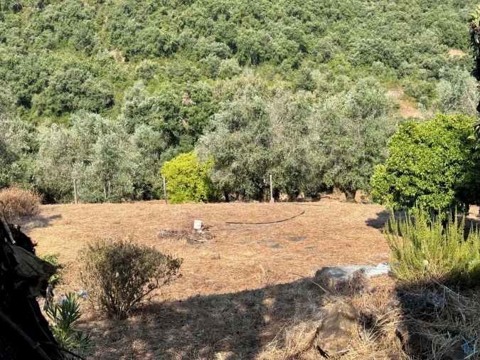 Moradia T3 para Venda em Chãos Foto 52