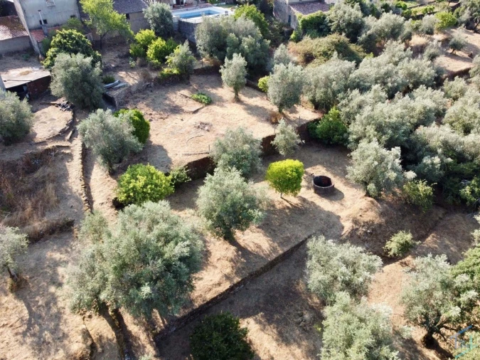 Moradia T3 para Venda em Chãos Foto 70