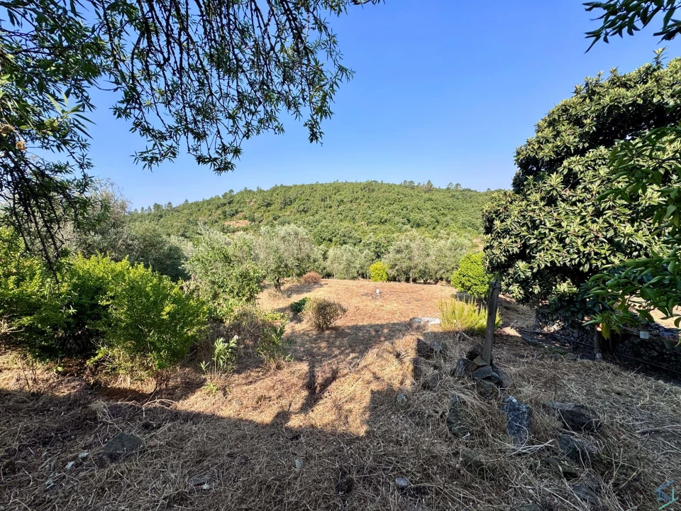 Moradia T3 para Venda em Chãos Foto 51