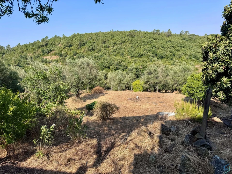 Moradia T3 para Venda em Chãos Foto 54