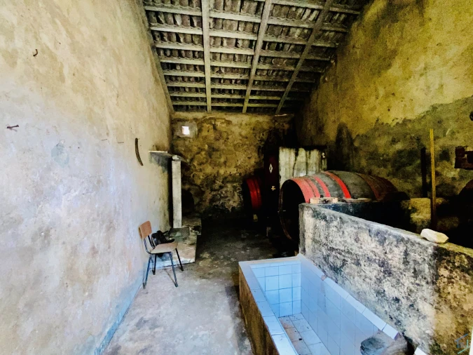 Moradia T7 para Venda em São Pedro de Tomar Foto 66