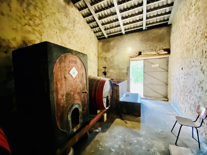 Moradia T7 para Venda em São Pedro de Tomar Foto 64