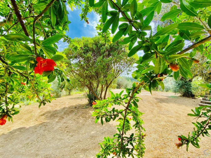 Moradia T7 para Venda em São Pedro de Tomar Foto 86