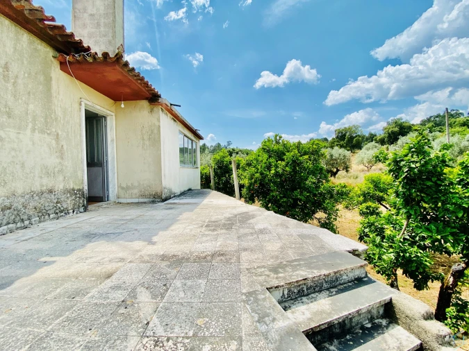 Moradia T7 para Venda em São Pedro de Tomar Foto 45