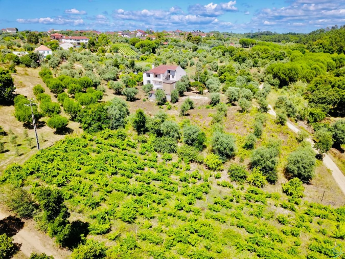 Moradia T7 para Venda em São Pedro de Tomar Foto 6