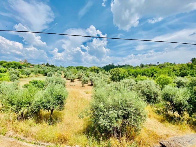Moradia T7 para Venda em São Pedro de Tomar Foto 52