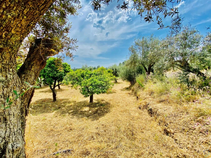 Moradia T7 para Venda em São Pedro de Tomar Foto 72