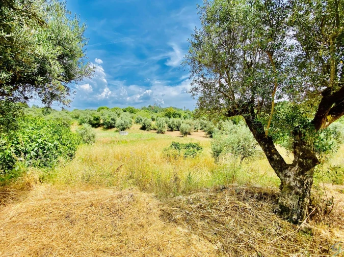 Moradia T7 para Venda em São Pedro de Tomar Foto 70