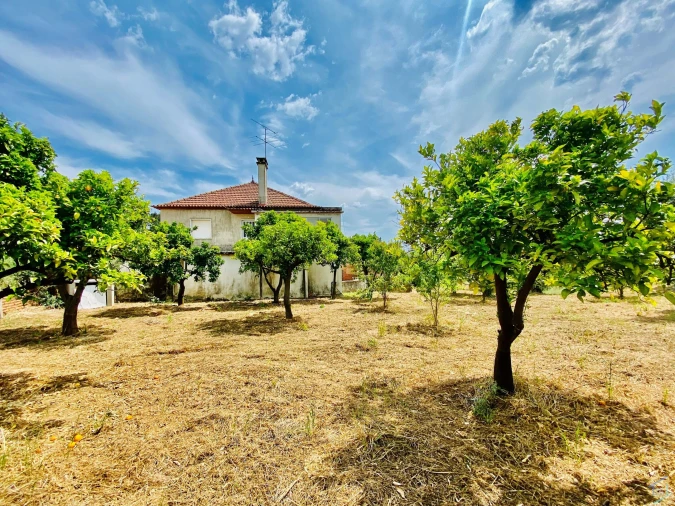 Moradia T7 para Venda em São Pedro de Tomar Foto 73