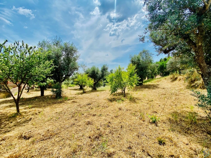 Moradia T7 para Venda em São Pedro de Tomar Foto 74