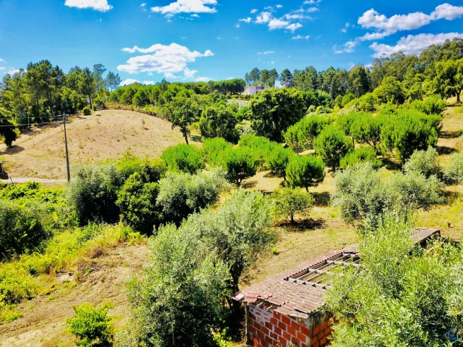 Moradia T7 para Venda em São Pedro de Tomar Foto 83