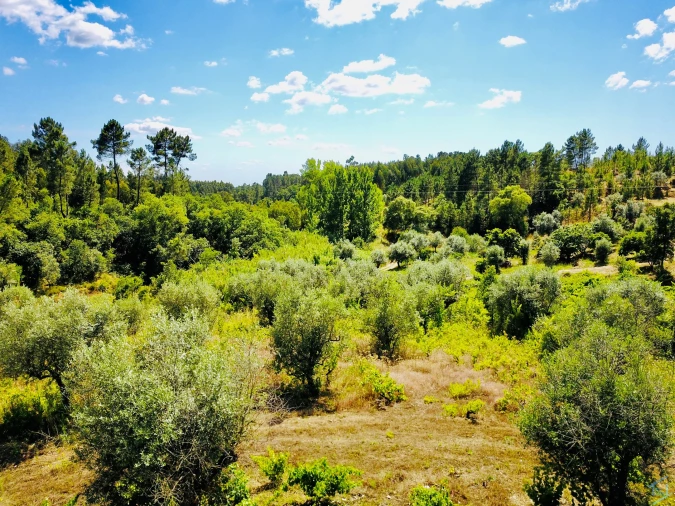 Moradia T7 para Venda em São Pedro de Tomar Foto 81