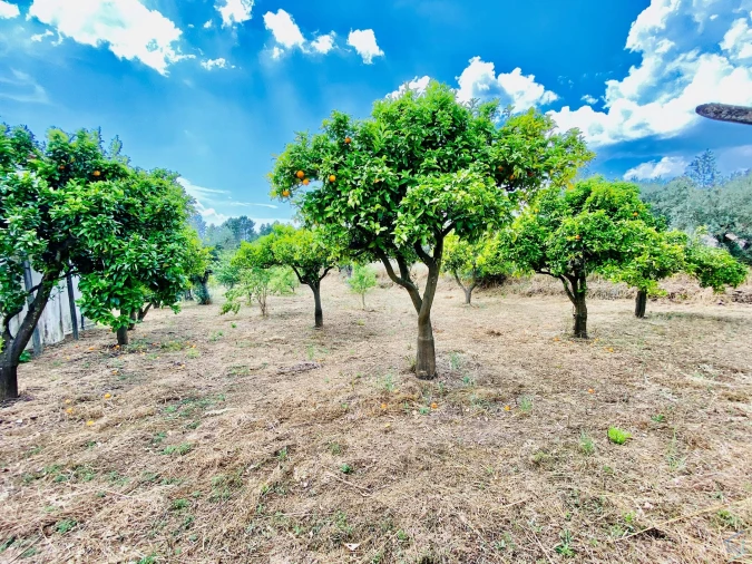 Moradia T7 para Venda em São Pedro de Tomar Foto 39