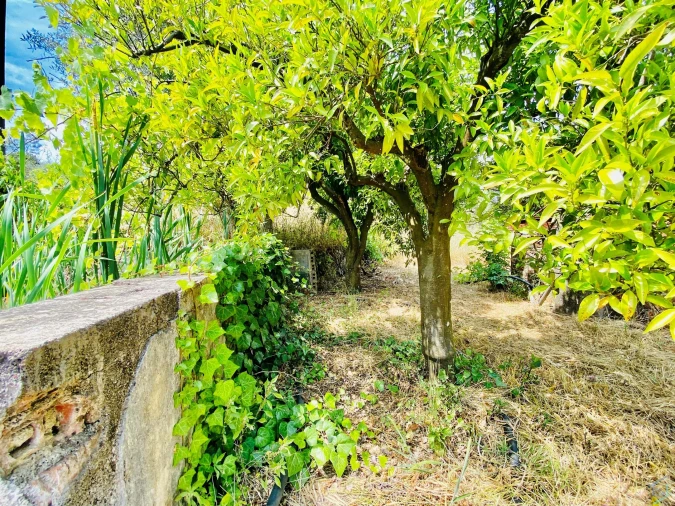 Moradia T7 para Venda em São Pedro de Tomar Foto 71