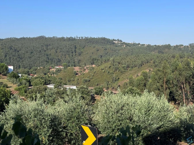 Moradia T2 para Venda em São Pedro de Tomar Foto 32