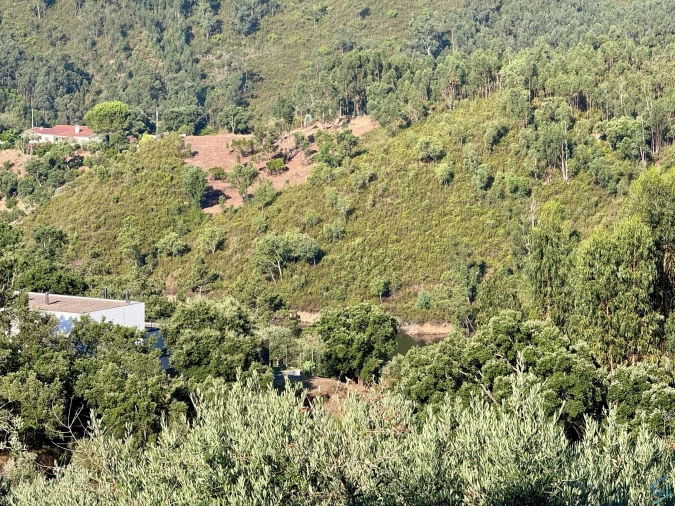 Moradia T2 para Venda em São Pedro de Tomar Foto 20