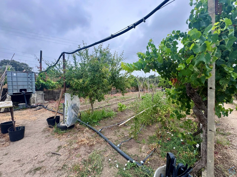 Terreno para Venda em Carregueiros Foto 8